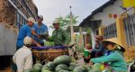 Trung Quốc “làm khó”, xuất khẩu rau quả vẫn lấy lại “phong độ”