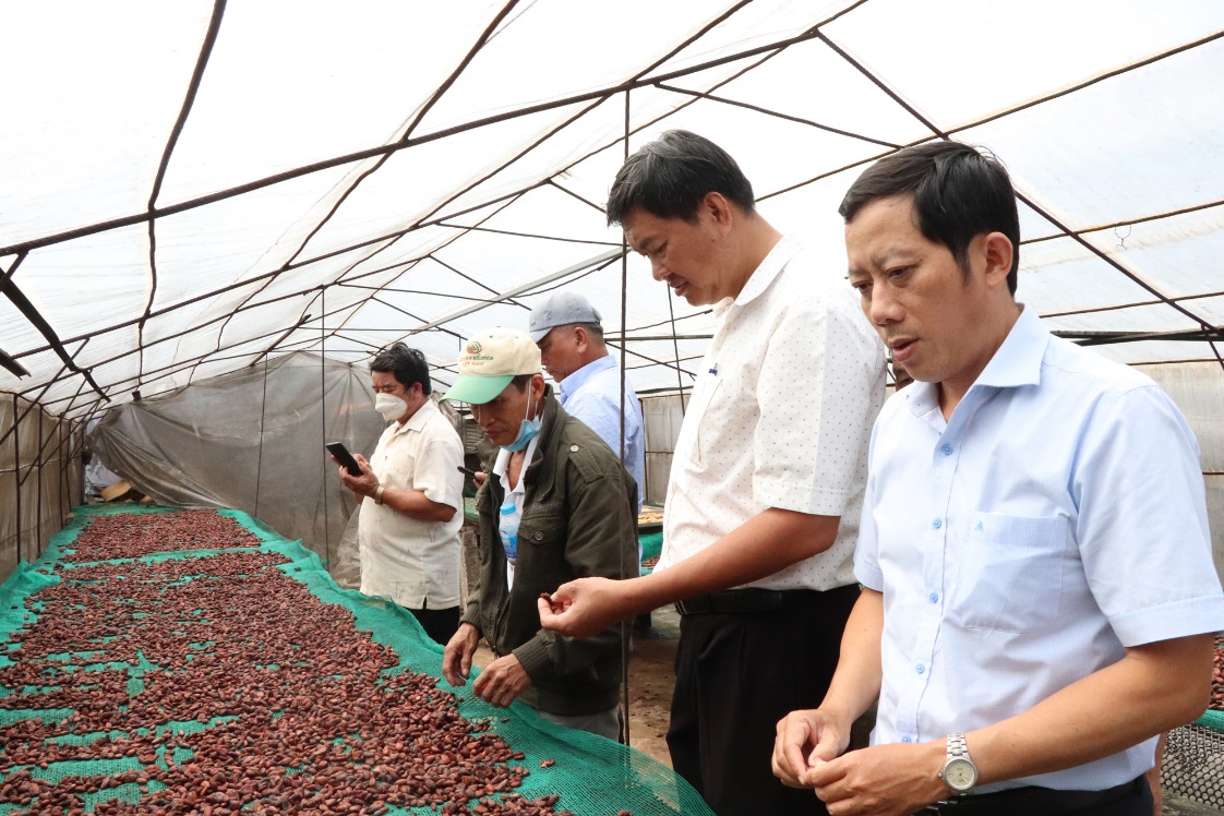 Ông Trần Văn Mảng (bên phải), Phó Chủ tịch Hội Nông dân tỉnh và cán bộ, hội viên nông dân tham quan khu vực sơ chế hạt ca cao của HTX Thương mại-Dịch vụ nông nghiệp xã Xà Bang.