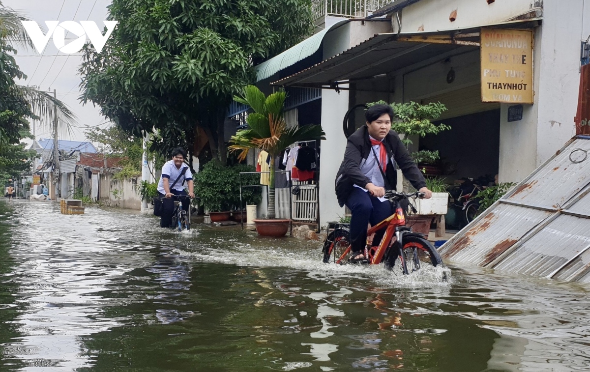 ba ria vung tau chi ra nguyen nhan ngap ung do thi o dia phuong hinh anh 1