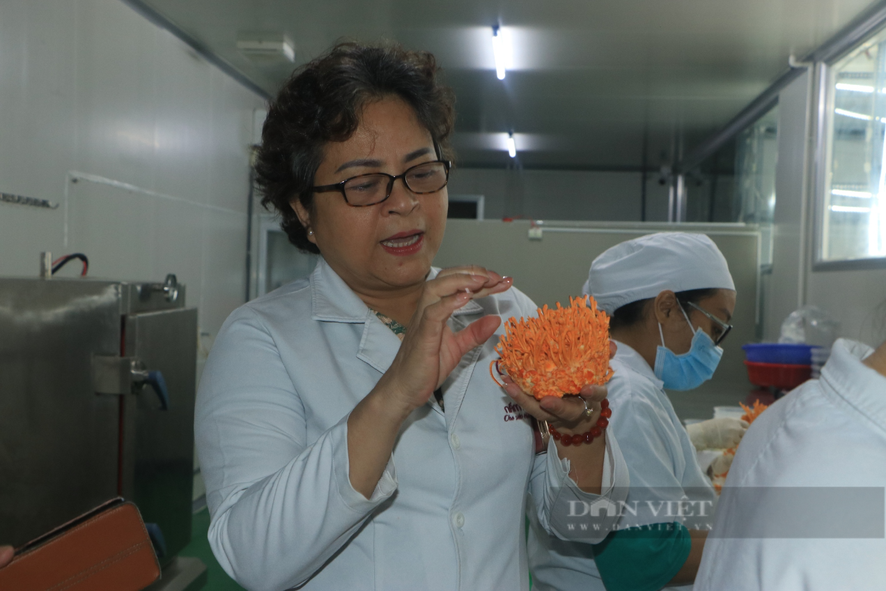 Trồng loại nấm có giá 5 triệu đồng/kg, người phụ nữ được vinh danh Nông dân Việt Nam xuất sắc 2023 - Ảnh 4.