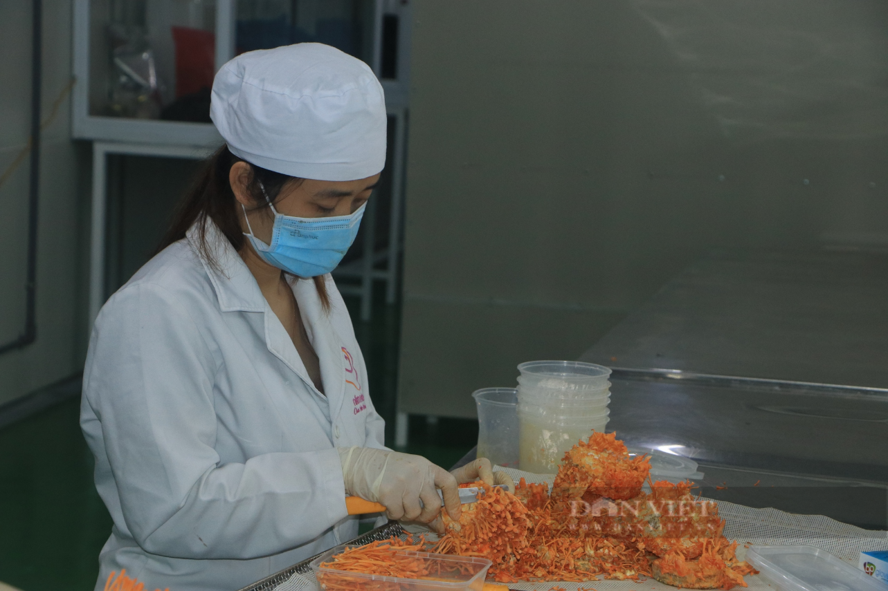 Trồng loại nấm có giá 5 triệu đồng/kg, người phụ nữ được vinh danh Nông dân Việt Nam xuất sắc 2023 - Ảnh 5.