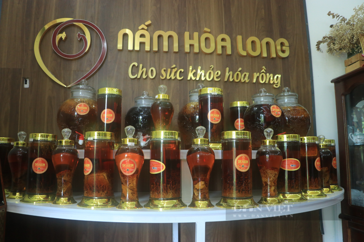 Trồng loại nấm có giá 5 triệu đồng/kg, người phụ nữ được vinh danh Nông dân Việt Nam xuất sắc 2023 - Ảnh 6.
