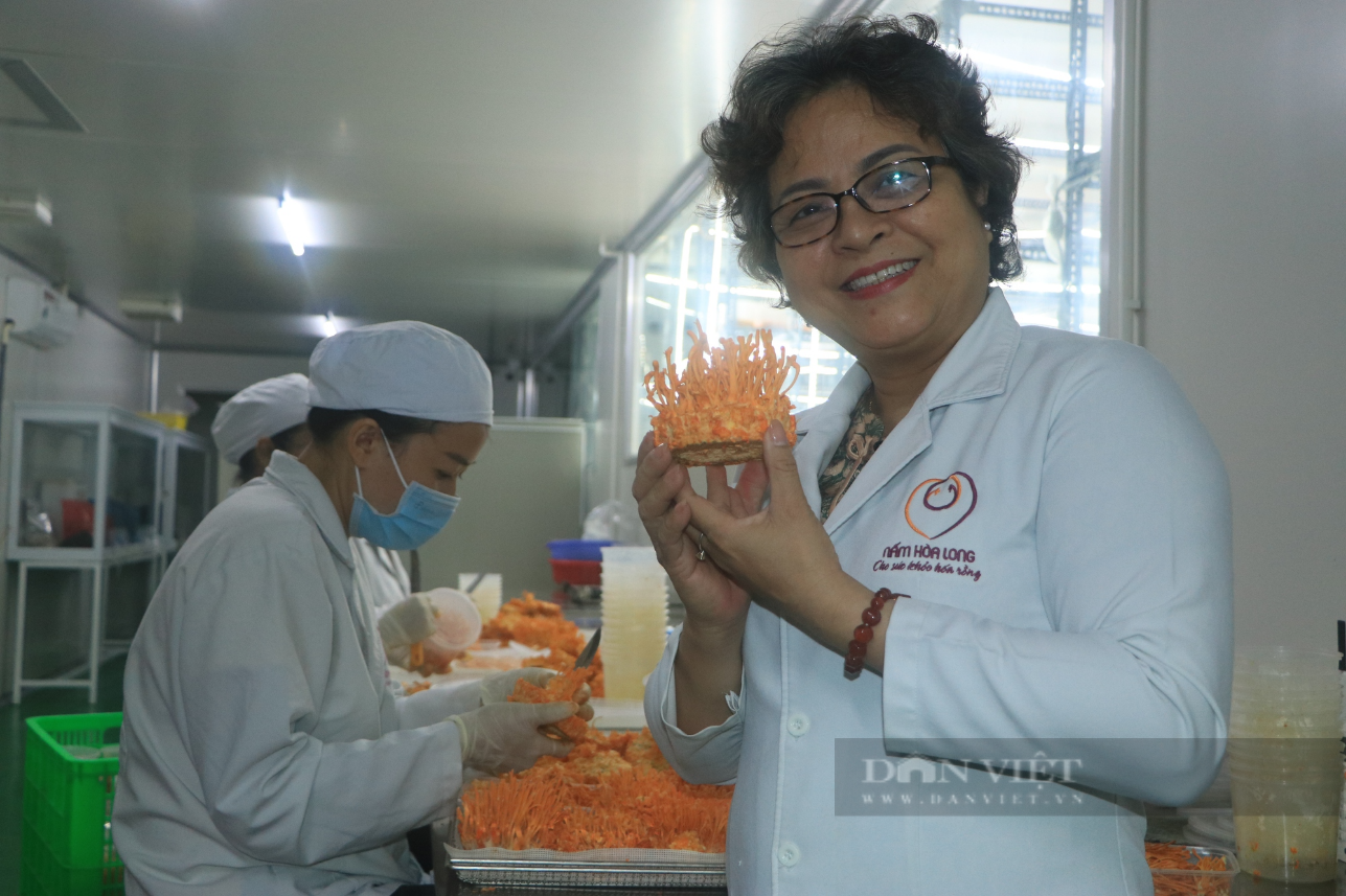 Trồng loại nấm có giá 5 triệu đồng/kg, người phụ nữ được vinh danh Nông dân Việt Nam xuất sắc 2023 - Ảnh 1.